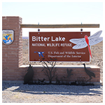 new-BTL-sign